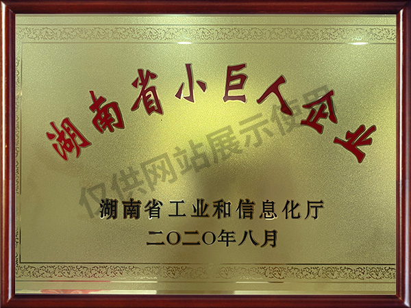 湖南省小巨人企業